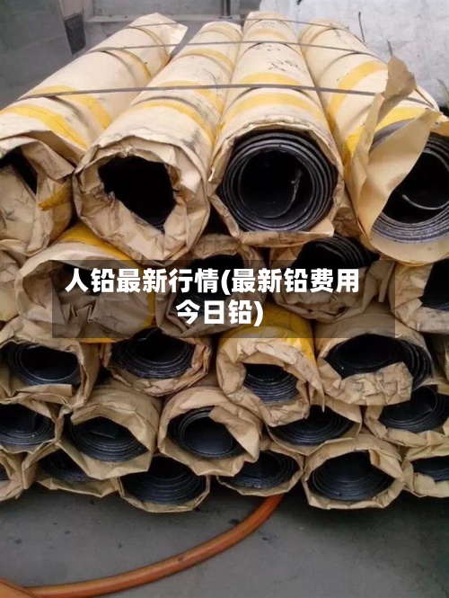 人铅最新行情(最新铅费用
今日铅)-第3张图片