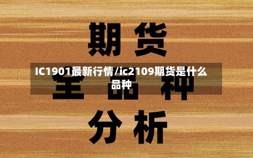 IC1901最新行情/ic2109期货是什么品种