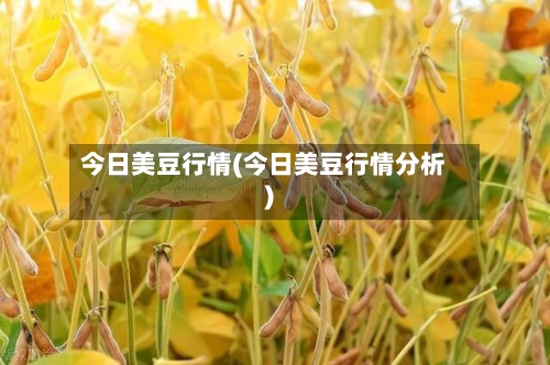 今日美豆行情(今日美豆行情分析)-第3张图片