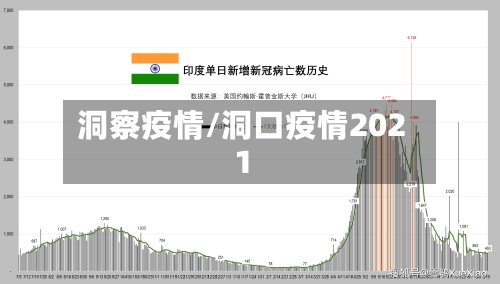 洞察疫情/洞口疫情2021