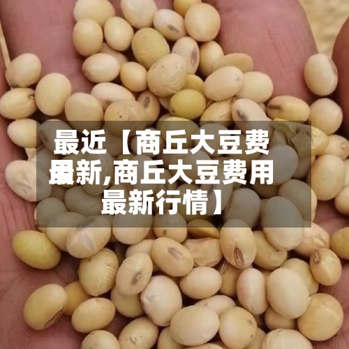 最近【商丘大豆费用最新,商丘大豆费用最新行情】
