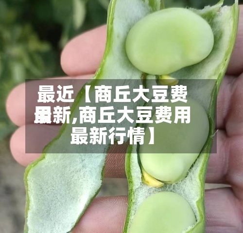 最近【商丘大豆费用
最新,商丘大豆费用
最新行情】-第3张图片