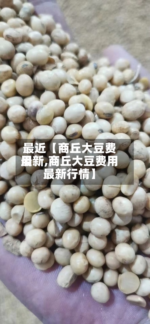 最近【商丘大豆费用
最新,商丘大豆费用
最新行情】-第2张图片