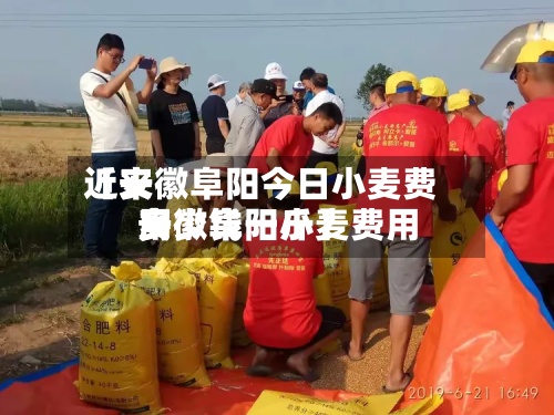 近来
【安徽阜阳今日小麦费用
安徽阜阳小麦费用
多少钱一斤】
