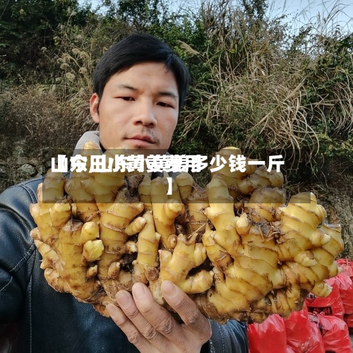 【今日小黄姜费用
山东,山东小黄姜多少钱一斤】-第3张图片