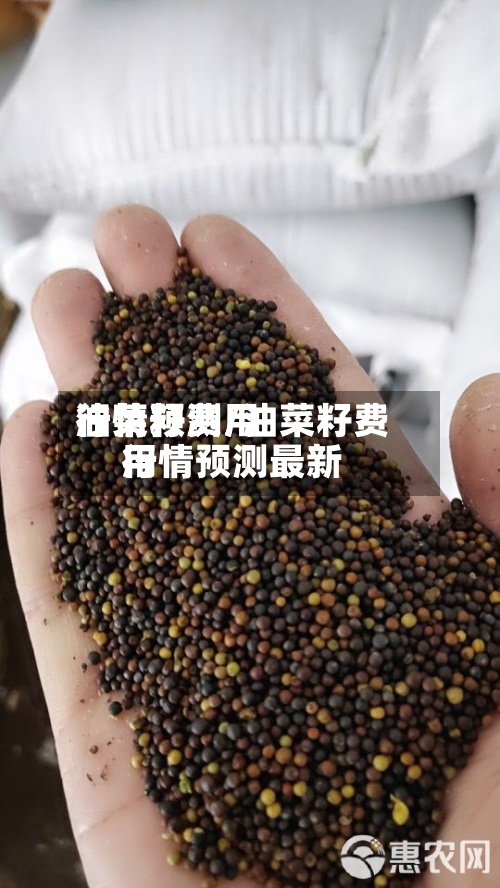 油菜籽费用行情预测/油菜籽费用行情预测最新-第2张图片