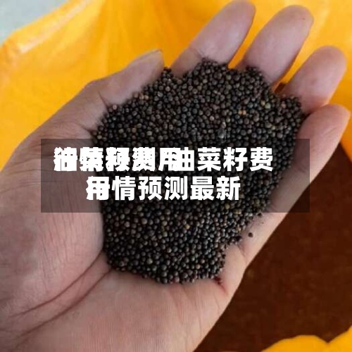 油菜籽费用行情预测/油菜籽费用行情预测最新