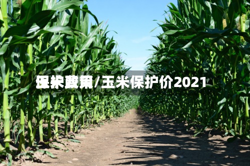 玉米费用
保护政策/玉米保护价2021-第2张图片
