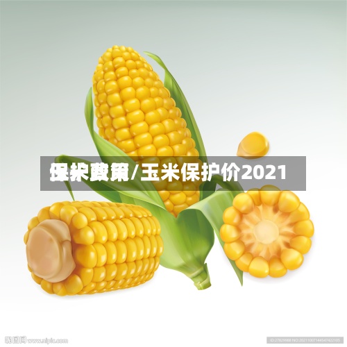 玉米费用
保护政策/玉米保护价2021