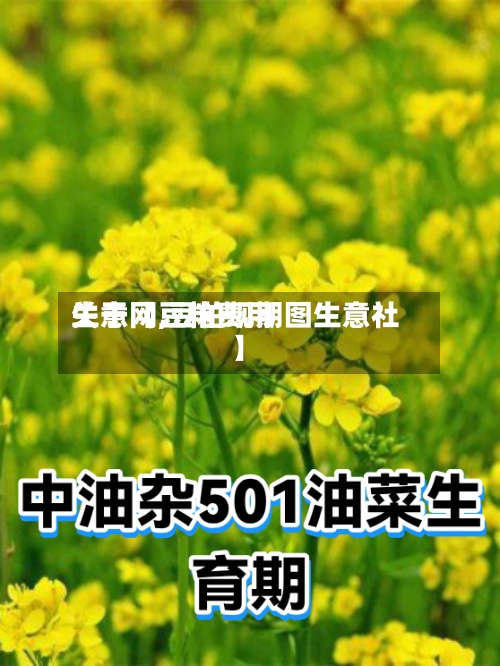 关于【豆粕费用生意网,豆粕现期图生意社】-第3张图片