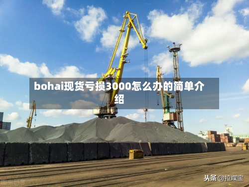 bohai现货亏损3000怎么办的简单介绍