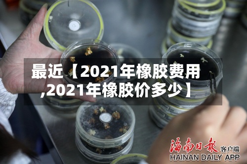 最近【2021年橡胶费用,2021年橡胶价多少】