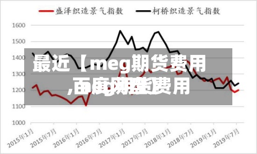 最近【meg期货费用,meg期货费用 百度网盘】-第3张图片