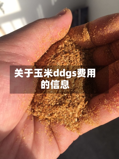 关于玉米ddgs费用
的信息-第2张图片