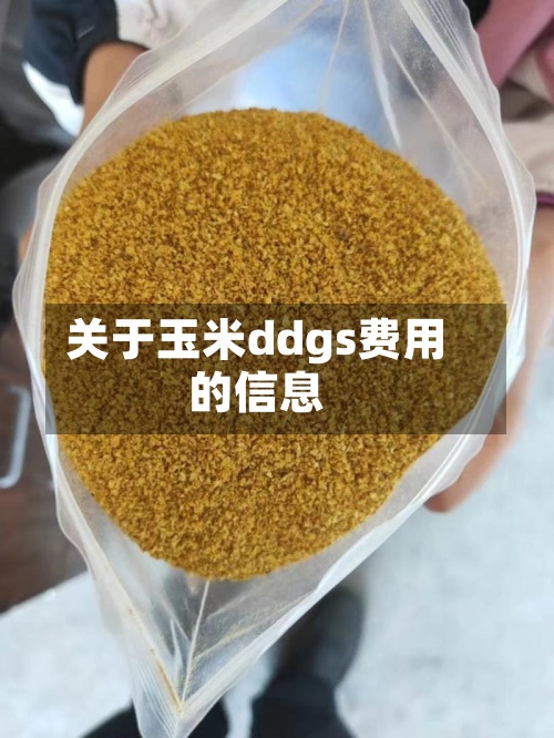 关于玉米ddgs费用
的信息
