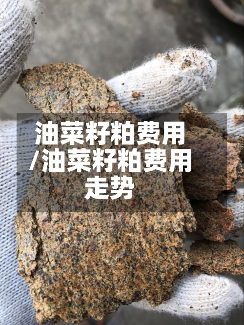 油菜籽粕费用
/油菜籽粕费用
走势