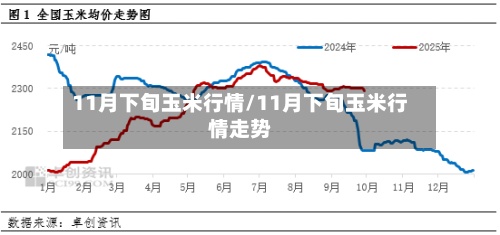 11月下旬玉米行情/11月下旬玉米行情走势-第2张图片
