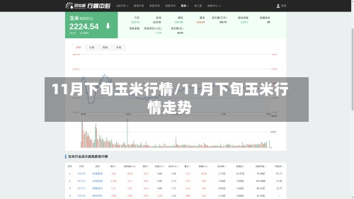 11月下旬玉米行情/11月下旬玉米行情走势