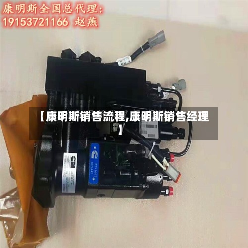 【康明斯销售流程,康明斯销售经理】-第2张图片