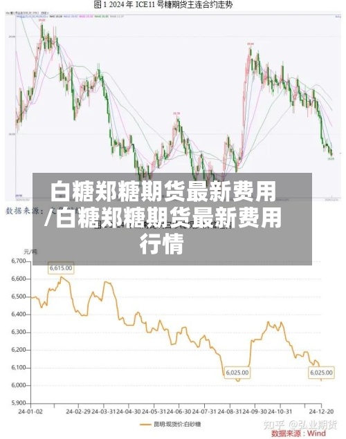 白糖郑糖期货最新费用/白糖郑糖期货最新费用行情-第2张图片