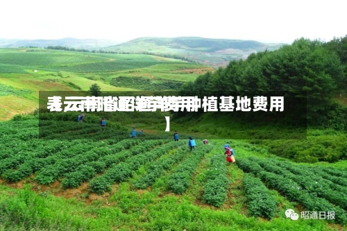 【云南昭通洋芋费用
表,云南省昭通洋芋种植基地费用
】-第2张图片
