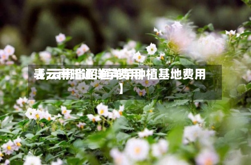 【云南昭通洋芋费用
表,云南省昭通洋芋种植基地费用
】