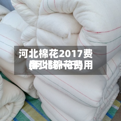 河北棉花2017费用
(河北棉花费用
多少钱一斤)-第2张图片