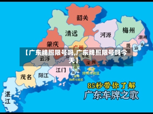 【广东牌照限号吗,广东牌照限号吗今天】-第3张图片
