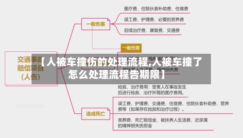 【人被车撞伤的处理流程,人被车撞了怎么处理流程告期限】