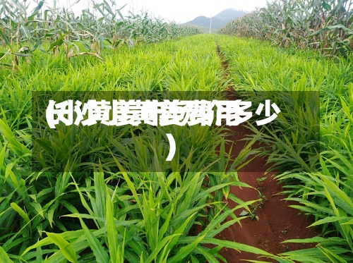 长沙小黄姜费用
(小黄姜市场价多少)
