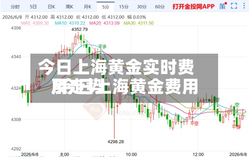 今日上海黄金实时费用/今日上海黄金费用及走势-第2张图片