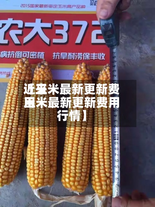 近来
【玉米最新更新费用
玉米最新更新费用
行情】