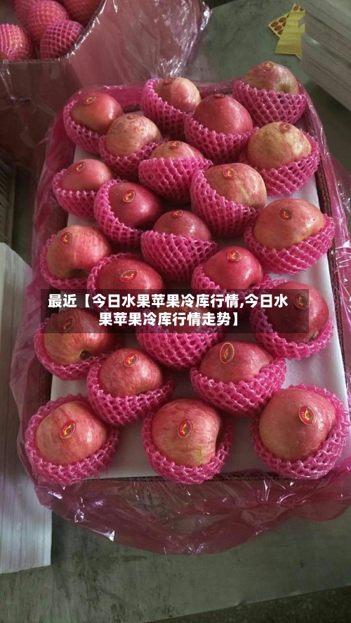 最近【今日水果苹果冷库行情,今日水果苹果冷库行情走势】-第2张图片