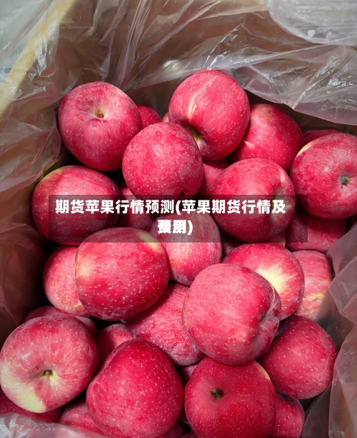 期货苹果行情预测(苹果期货行情及费用预测)
