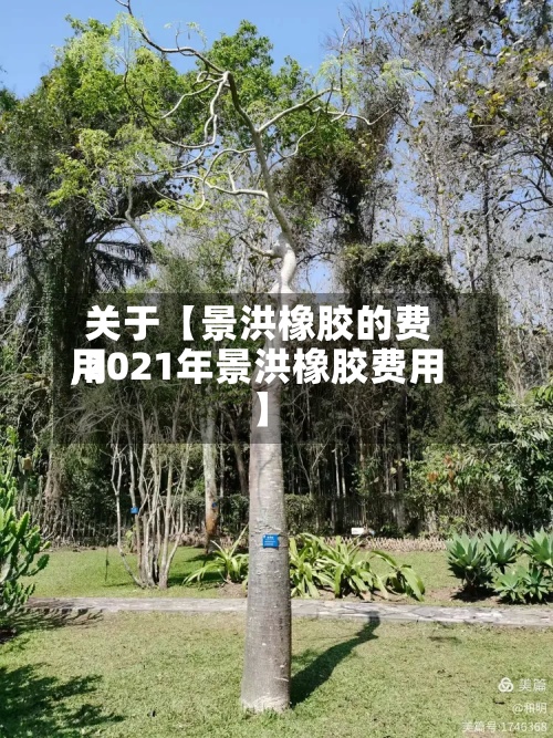关于【景洪橡胶的费用
,2021年景洪橡胶费用
】