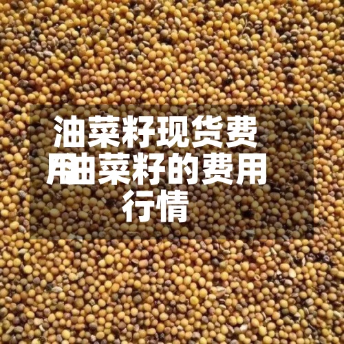 油菜籽现货费用
/油菜籽的费用
行情