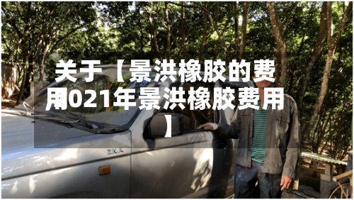关于【景洪橡胶的费用,2021年景洪橡胶费用】-第3张图片