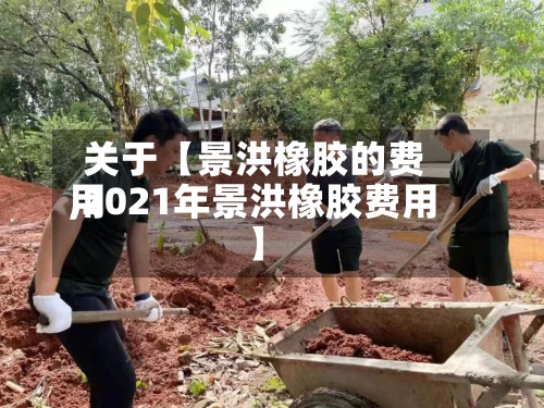 关于【景洪橡胶的费用,2021年景洪橡胶费用】-第2张图片