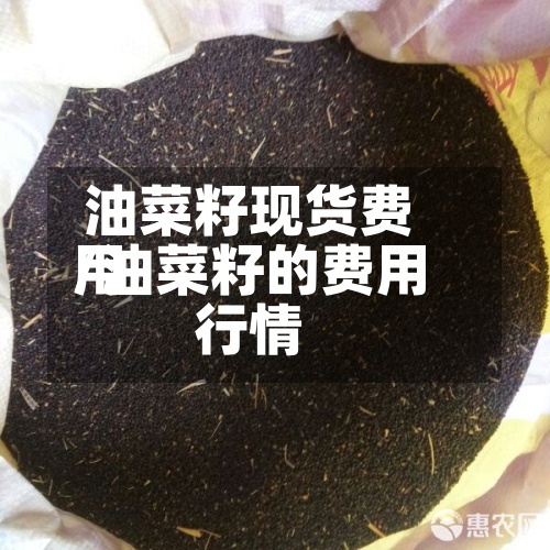 油菜籽现货费用
/油菜籽的费用
行情-第2张图片
