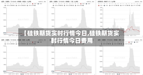 【硅铁期货实时行情今日,硅铁期货实时行情今日费用
】