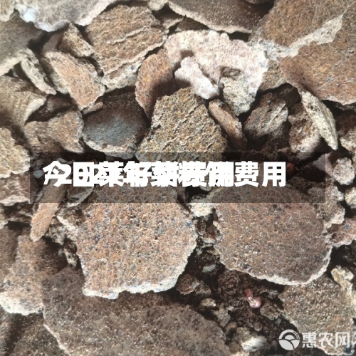 今日莱籽饼费用/2021年菜籽饼费用-第2张图片
