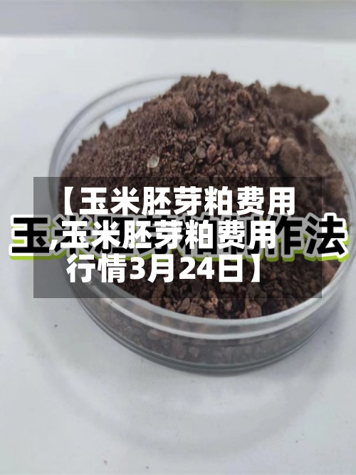 【玉米胚芽粕费用,玉米胚芽粕费用行情3月24日】-第3张图片