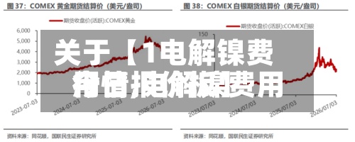关于【1电解镍费用行情,电解镍费用今日报价板】-第2张图片