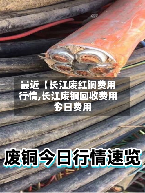 最近【长江废红铜费用行情,长江废铜回收费用今日费用】-第2张图片