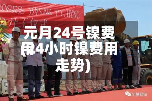 元月24号镍费用(24小时镍费用走势)-第2张图片