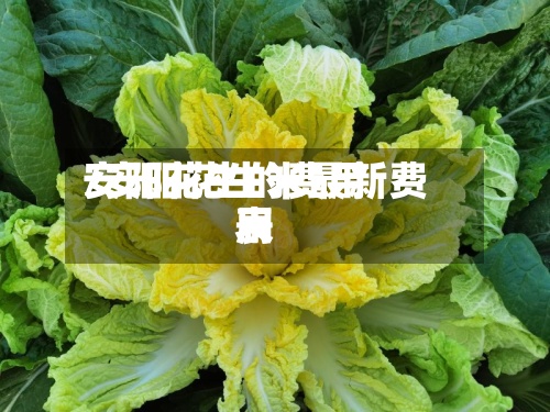 安阳花生的费用
/安阳花生米最新费用
表-第3张图片