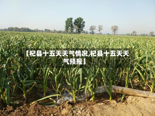 【杞县十五天天气情况,杞县十五天天气预报】