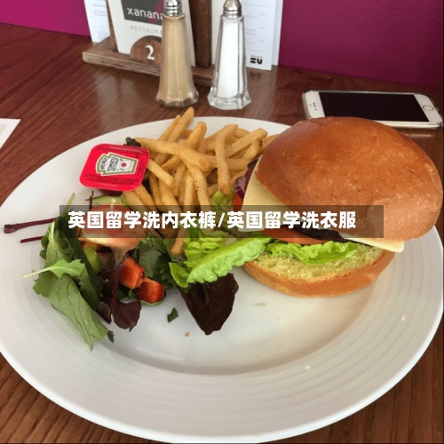 英国留学洗内衣裤/英国留学洗衣服