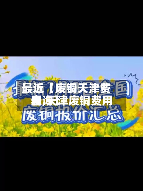 最近【废铜天津费用表,天津废铜费用查询】-第2张图片
