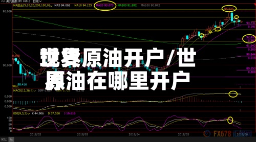 世界
现货原油开户/世界
原油在哪里开户-第2张图片